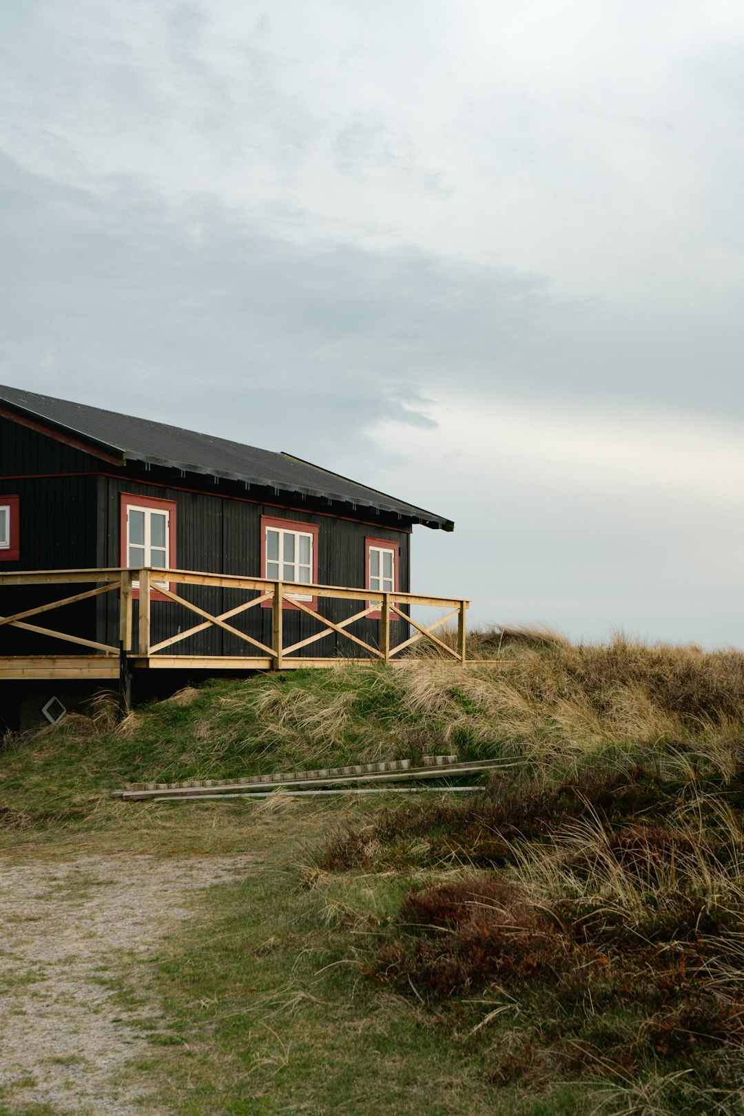 Windswept Danish coastal landscape at dusk